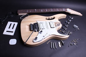 Electric Guitar Kit - JEM Style BYO-JEM
